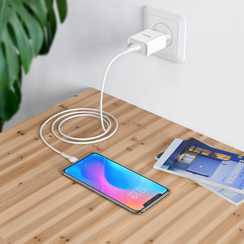 Мережевий зарядний пристрій з кабелем HOCO C81A Asombroso single port charger set(Type-C) White Одеса - фото 8