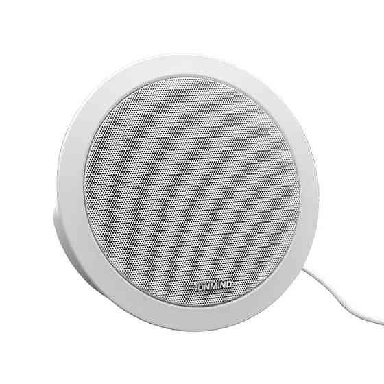 Стельовий SIP-IP гучномовець Tonmind SIP-S01 15W, PoE, ONVIF (24-00508) Киев