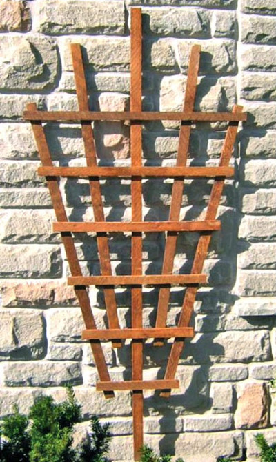 Опора для плетущихся 