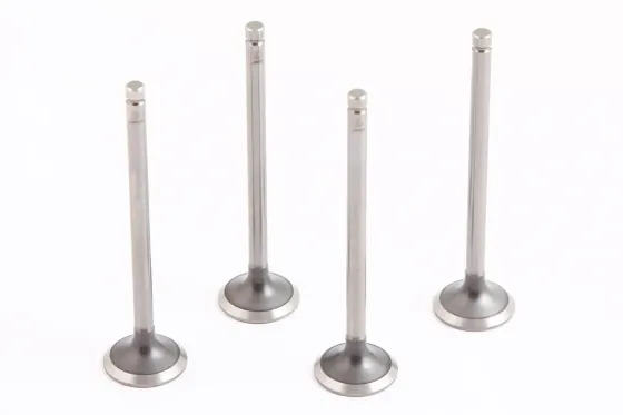 Клапана Lanos 1.6 AMP азотир. выпускные (4 шт.) Винница