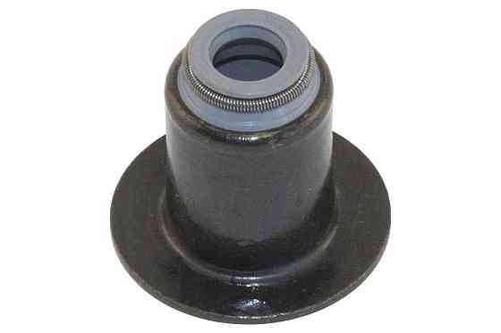 Сальник клапана 6x10/22x19 Fiat 2,3 MJTD (F1A) 3,0 MJTD (F1C) (500395378) HANSWERK HW140350 Київ