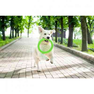 Іграшка для собак Collar PitchDog Кільце для апортування 17 см салатове (62365) Вінниця