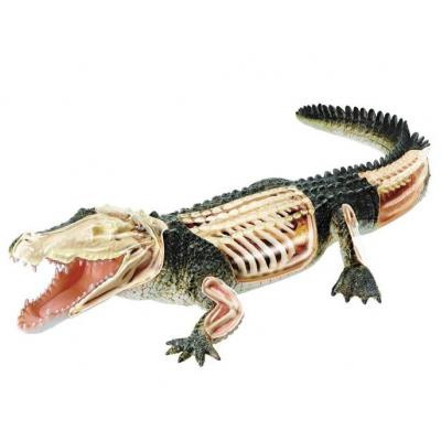 Пазл 4D Master Об&apos;ємна анатомічна модель Крокодил (FM-622034) Вінниця - фото 2