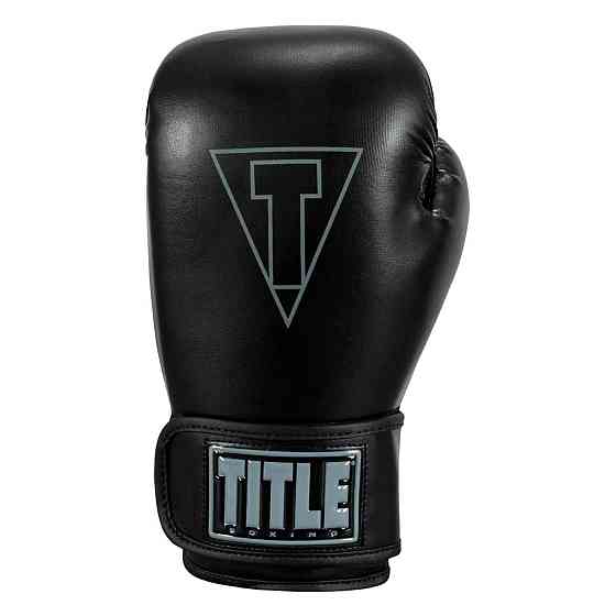 Боксерські рукавиці TITLE Boxing Vegan Gloves Black 14 oz (капа в комплекті) Каменское