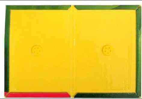 5шт Мишоловка липка TG-21, 12 х 17 см Винница