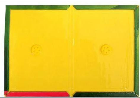 5шт Мишоловка липка TG-21, 12 х 17 см Вінниця - фото 2