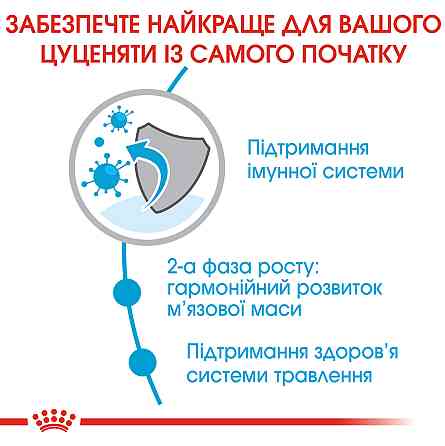 Корм для молодих собак гігантських порід ROYAL CANIN GIANT JUNIOR (джуніор) 15.0 кг Київ