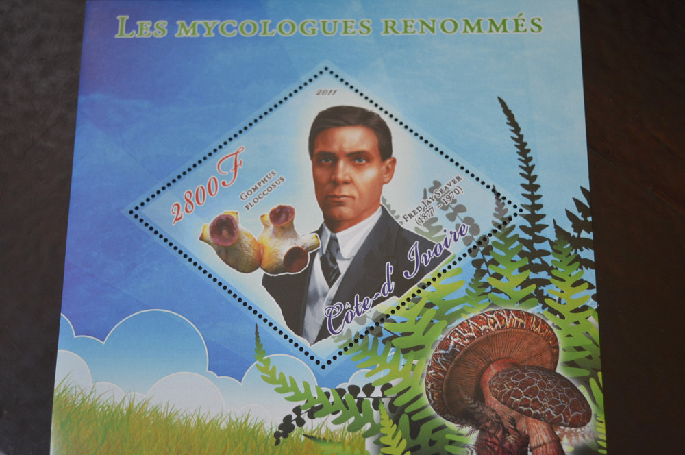 Марки. Особистості. Блок. 2011 рік (А-15) Полтава - фото 1