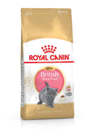 Корм для кошенят породи Британська короткошерста ROYAL CANIN KITTEN BRITISH SHORTHAIR 0.4 кг Київ