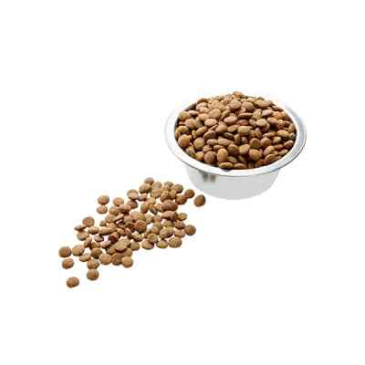 Сухой корм для кошек Пан Кот Классик для котят 10 кг (4820111140176) Винница