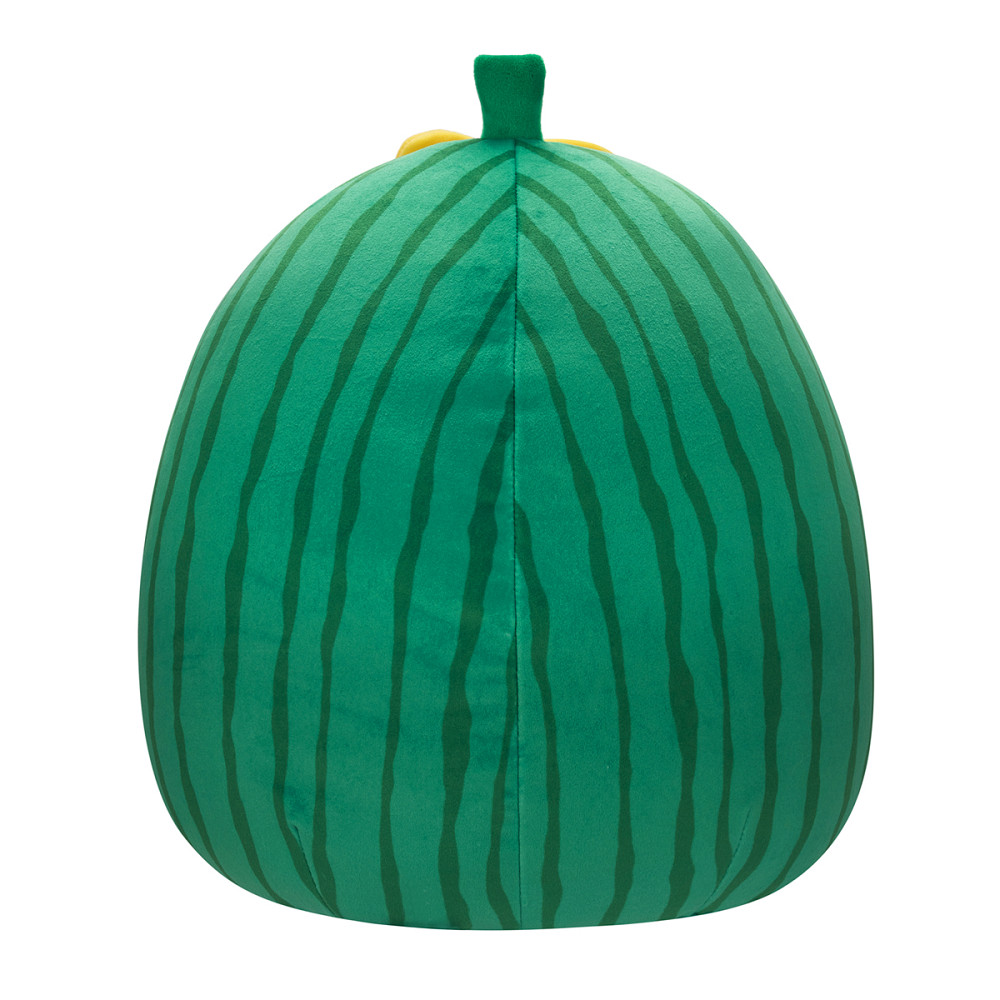 М'яка іграшка Squishmallows – Кавун Ванда (30 cm) Дніпро - фото 4