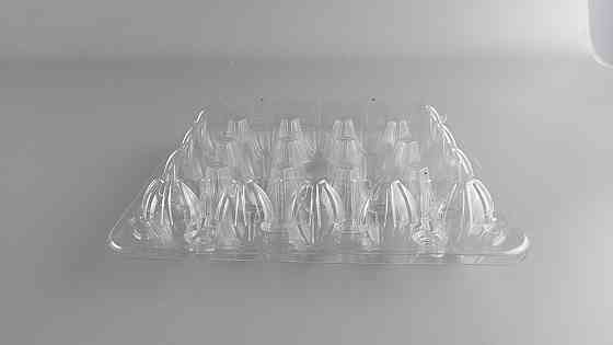 Упаковка для перепелиных яиц 18 ячеек (Квадратная) ПРОЗРАЧНАЯ (50 шт) Харьков