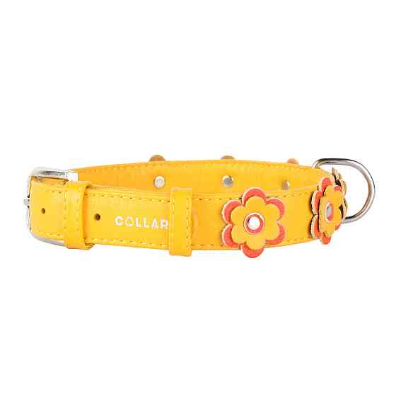 Нашийник "CoLLaR GLAMOUR" з оздобленням "Аплікація" (ширина 35мм, довжина 46-60см) жовтий Київ