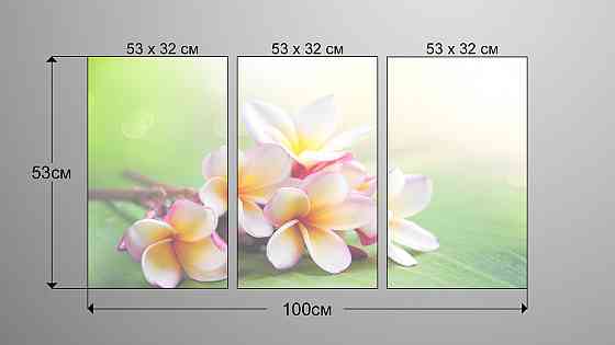 Модульная картина Цветы Орхидея Art-71_3А Киев