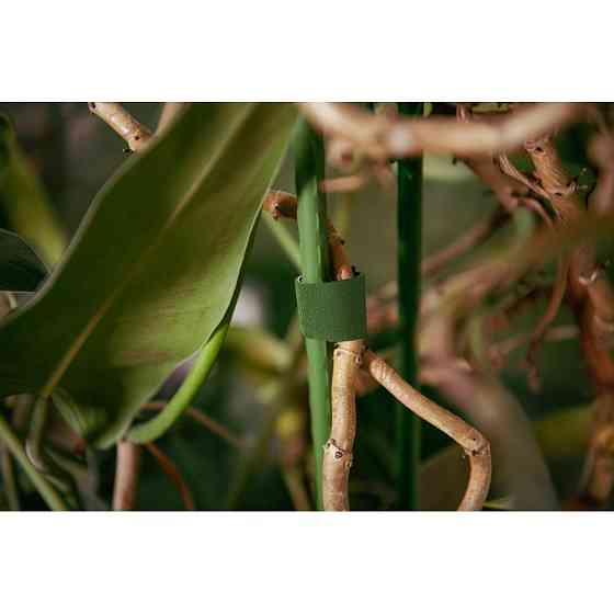 Багатофункціональна стрічка, Т рулон на липучці, 12,5мм х 2 м, зелений, TYHLT12502/GR Київ