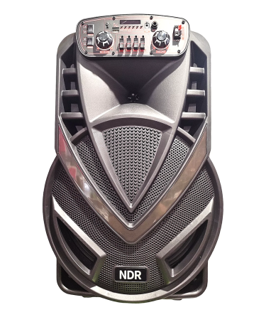 Бездротова вулична Bluetooth колонка NDR-V15 1500Вт (динамік 40 Вт) 15 дюймів Київ