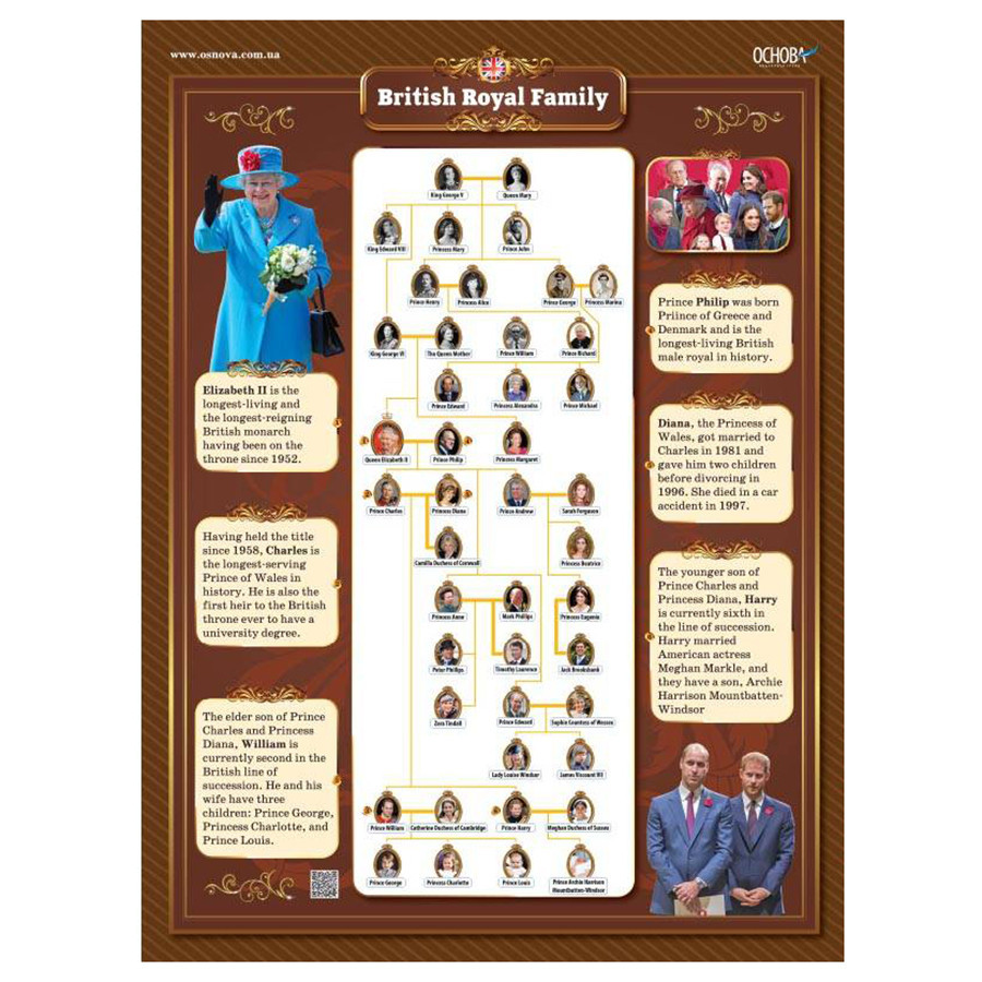 Наглядные пособия 