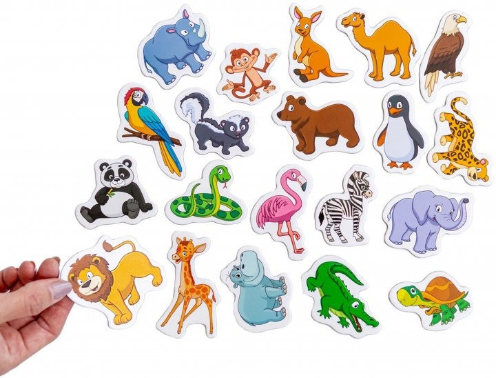 Набор магнитов Magdum 