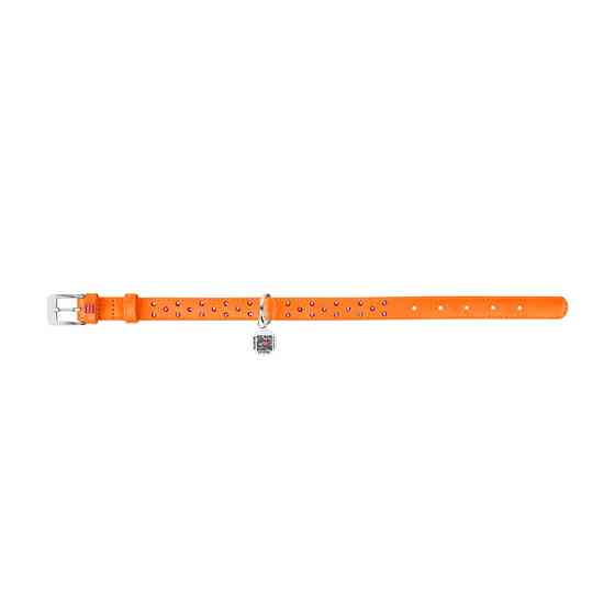 Нашийник для собак шкіряний WAUDOG Glamour з QR паспортом, з клейовими стразами, Ш 20 мм, Дов 3 Коломия