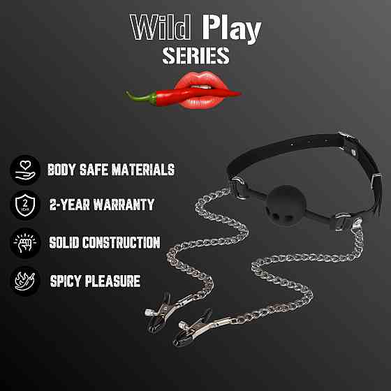 Набір БДСМ - Erospace Wild Play Mouth Gag With Nipple Clamps C15 Sex Aura Київ