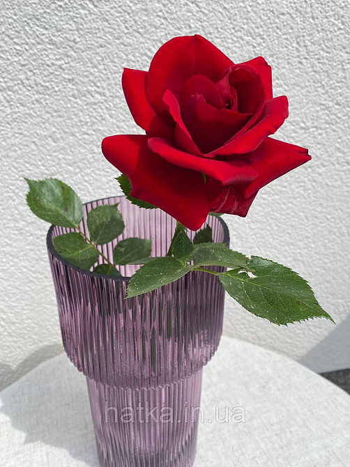 Ваза скляна 14,5*14,5*30 см "Тафт" рожеве товсте скло Київ - фото 3