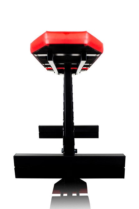 Лавка для жиму регульована Pro-10 Стійки, лавки для жиму і присідань без стійок Київ - фото 3