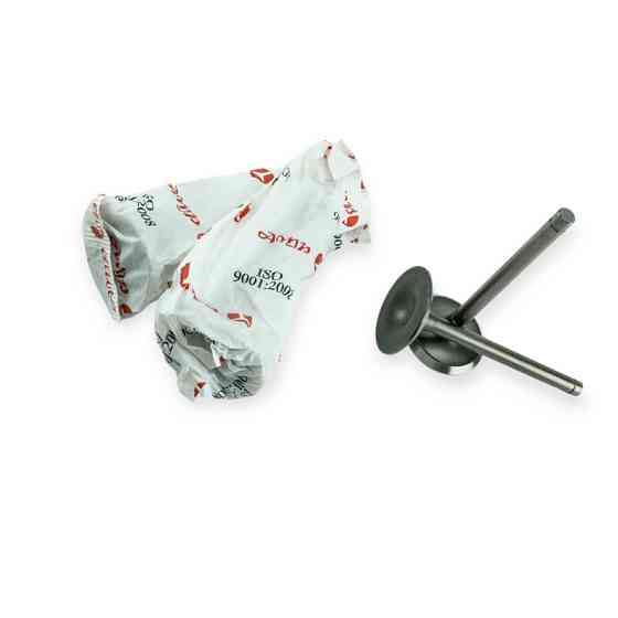 Клапана 2410, 2401, газ 53 впуск 4шт amp польша (pwol003) азот газ Мукачево