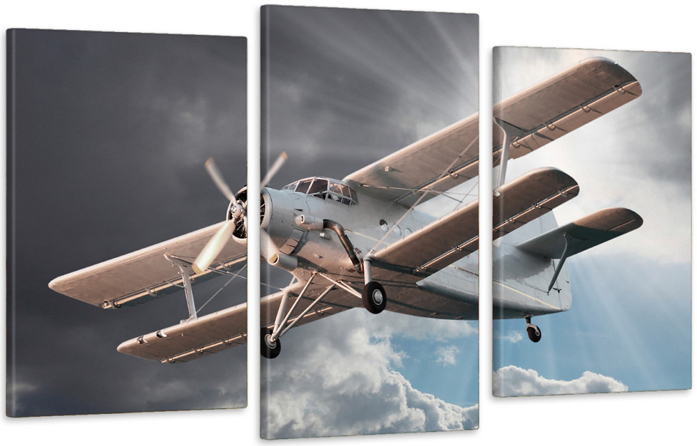 Модульна картина у вітальню/ спальню Літак в небі  Art-533_3 100x150 см Київ - фото 1