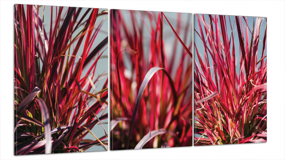 Модульна картина Природа Рослина Art-28_B3 Київ - фото 1