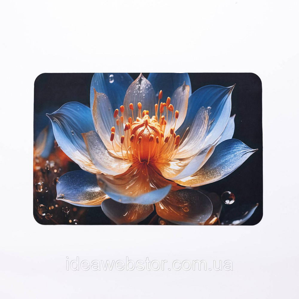 Килимок діатомітовий Lotus 58*38 см прямокутний Yiwu HP-42-97 Київ - фото 1