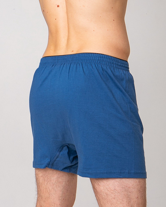 Сімейні чоловічі труси Ozkan 0041 M, Синій Київ - фото 2