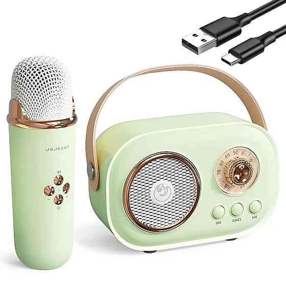 Колонка для караоке з мікрофоном на акумуляторі, Зелений / Блютуз колонка з мікрофоном / Караоке колонка Київ