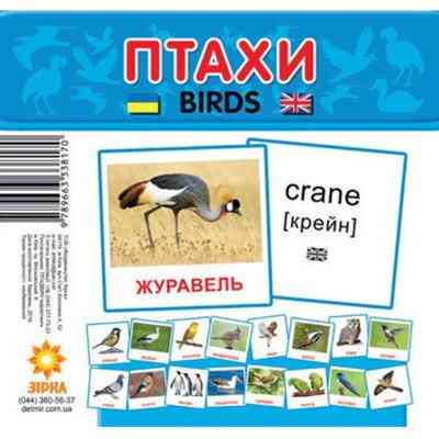 Картки міні Птахи (110х110 мм) (укр), шт Київ