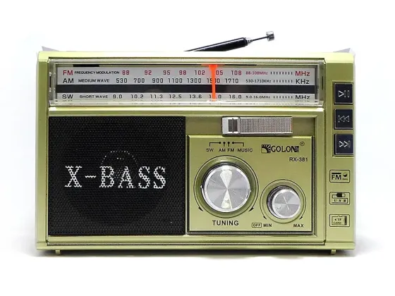 Радіоприймач Golon RX-381 Від батарейок або мережі 220В формат MP3/WMA Київ