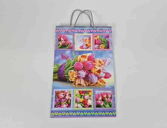 Большой бумажный пакет вертикальный  25/37/8(артBV-017) (12 шт) Харьков