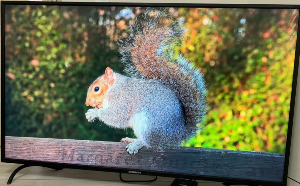 Телевизор Medion 55