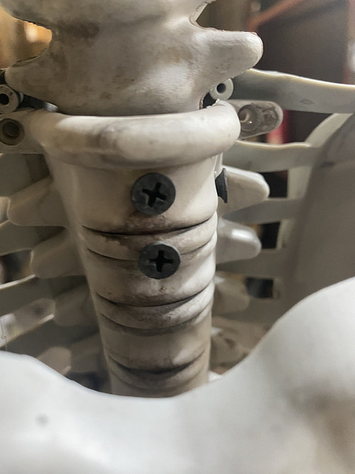 Анатомічний скелет людини RESTEQ 170 см — велика навчальна модель із ПВХ з рухомою щелепою, білий Київ - фото 8