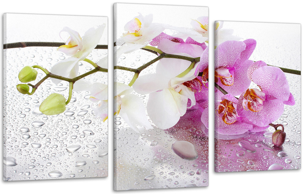 Модульная картина Цветы Розовая Орхидеи Art-15_3 100x150 см Киев - изображение 1