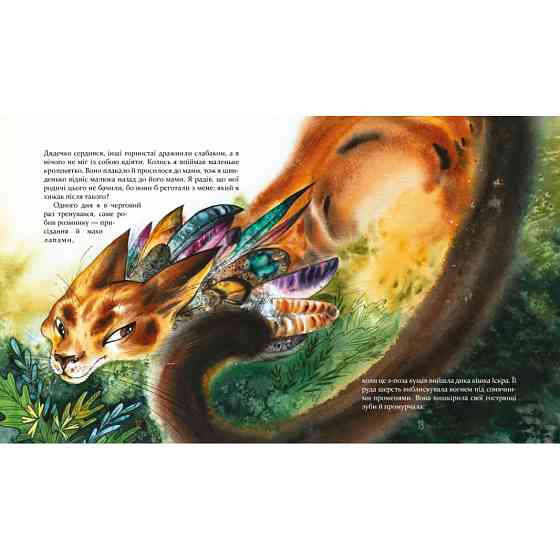 Дитяча книжка Біжи, Форест, біжи! 253608, 132 сторінки Вінниця