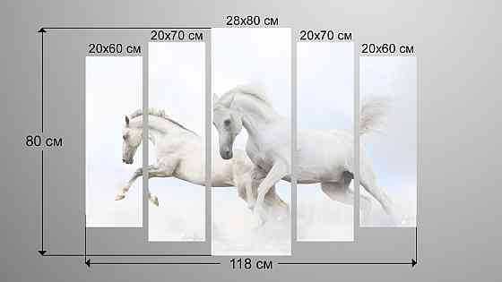 Модульна картина Коні Білі Art-121_5 Київ
