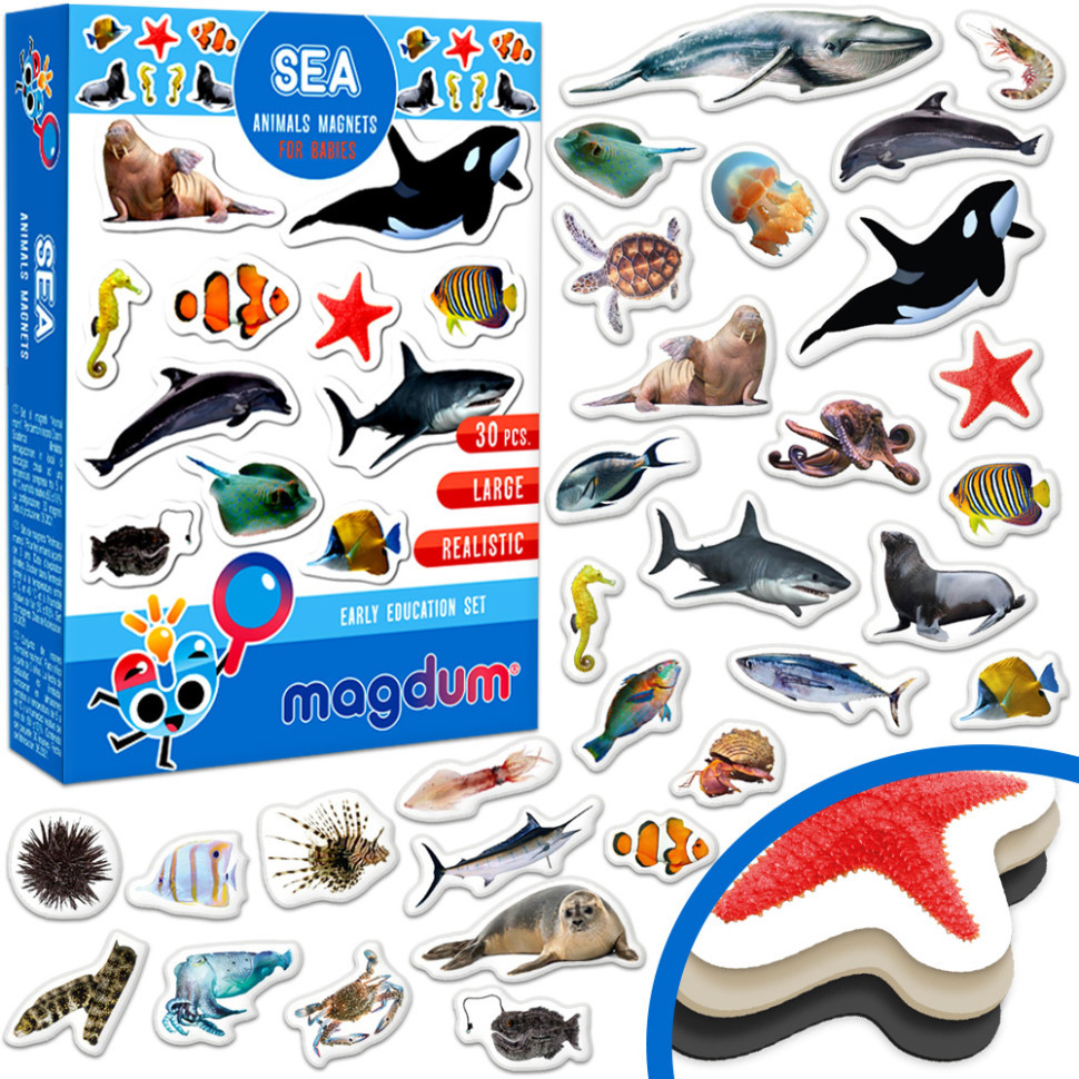 Дитячий набір магнітів Морські мешканці фото ML4031-28 EN Вінниця - фото 2