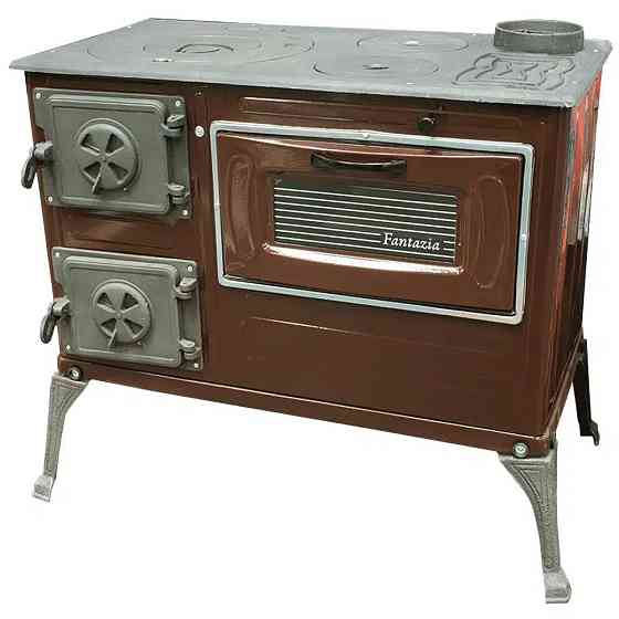 Піч опалювально-варильна 6 кВт з вбудованою духовкою Фантазія сталева буржуйка для дому та дачі верхній димохід Київ