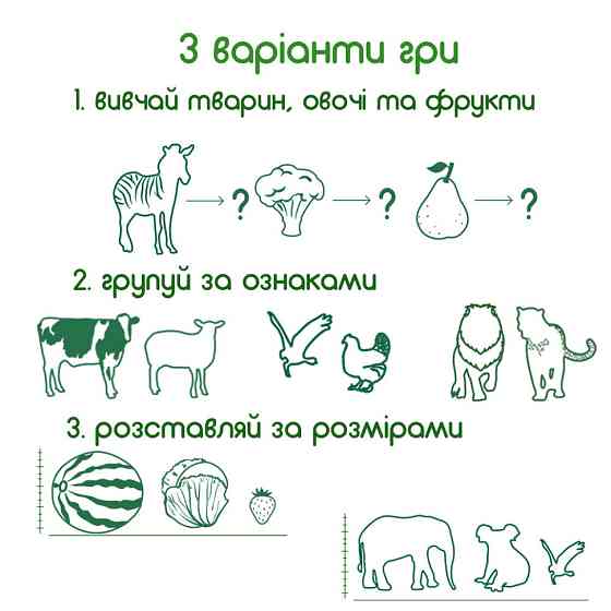 Набор магнитов Magdum 