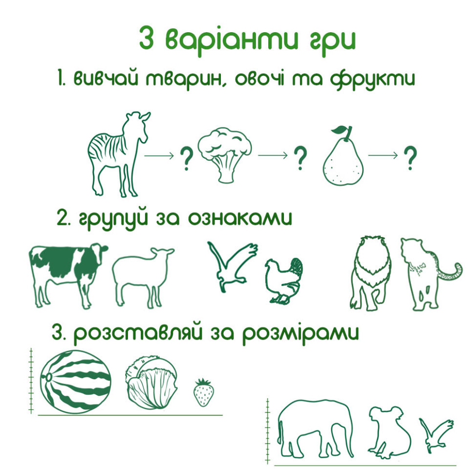 Набор магнитов Magdum 