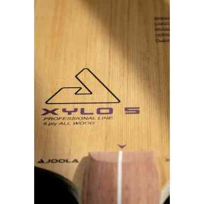 Основание для ракетки Joola XYLO 5 FL (65080) (931082) Винница