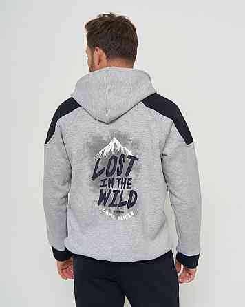 Мужской теплый костюм на молнии со штанами - Байка с начёсом Tom John 93399 L Киев