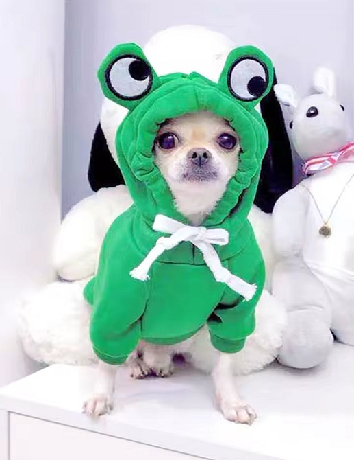Костюм для собачок та котиків Жабка S зелений Київ - фото 1
