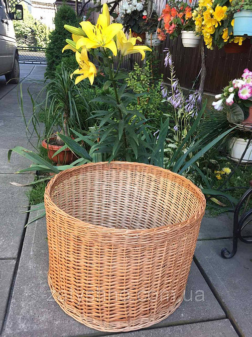 Корзина плетеная Киев - изображение 2