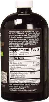 Рідкий хлорофіл (Chlorofresh) 473.2 мл зі смаком м&apos;яти Київ