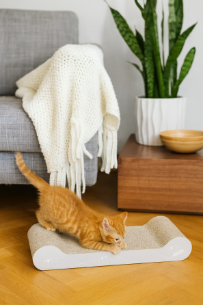 Дряпка Trixie Junior для кошенят з котячою м'ятою картон світло-сіра 38х6х18 см Київ